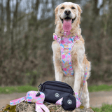 Trail & Glow Dog Harness & Lead Set - Colour Drops - Candy Floss - Bailey and Coco (UK)