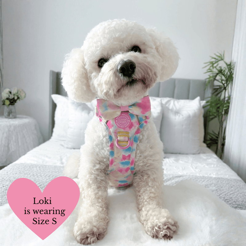 Trail & Glow Dog Harness & Lead Set - Colour Drops - Candy Floss - Bailey and Coco (UK)