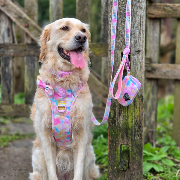 Trail & Glow Dog Harness & Lead Set - Colour Drops - Candy Floss - Bailey and Coco (UK)