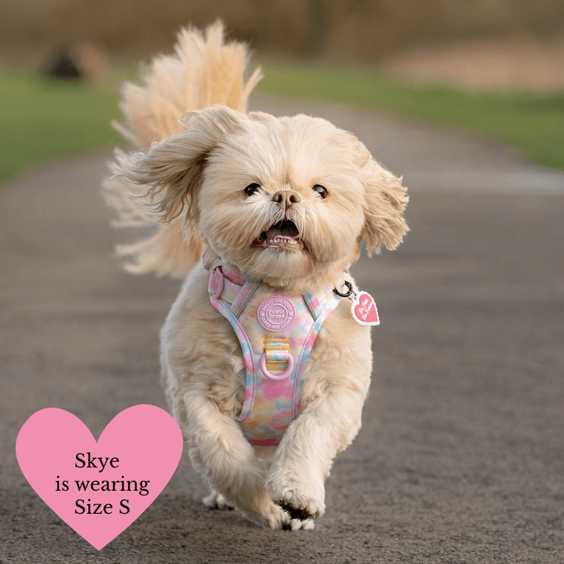 Trail & Glow Dog Harness & Lead Set - Colour Drops - Candy Floss - Bailey and Coco (UK)
