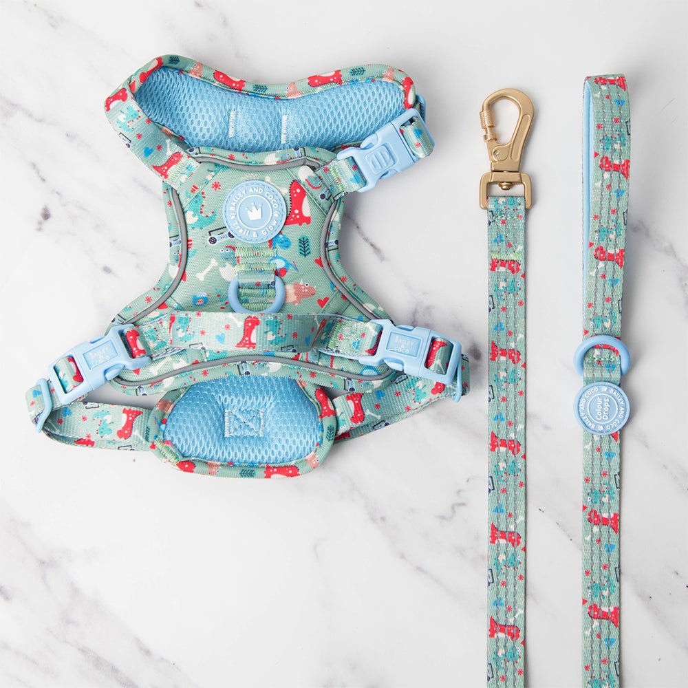 Trail & Glow Dog Harness & Lead Set - Colour Drops - Dino Party - Bailey and Coco (UK)