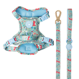 Trail & Glow Dog Harness & Lead Set - Colour Drops - Dino Party - Bailey and Coco (UK)