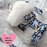 Trail & Glow Dog Harness & Lead Set - Colour Drops - Loves me, Loves me not - Bailey and Coco (UK)