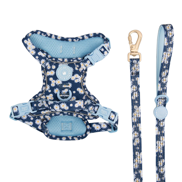 Trail & Glow Dog Harness & Lead Set - Colour Drops - Loves me, Loves me not - Bailey and Coco (UK)