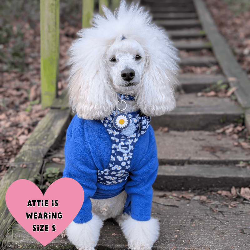 Trail & Glow Dog Harness & Lead Set - Colour Drops - Loves me, Loves me not - Bailey and Coco (UK)