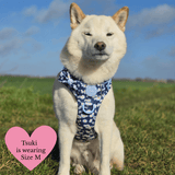 Trail & Glow Dog Harness & Lead Set - Colour Drops - Loves me, Loves me not - Bailey and Coco (UK)