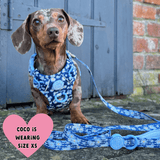 Trail & Glow Dog Harness & Lead Set - Colour Drops - Loves me, Loves me not - Bailey and Coco (UK)