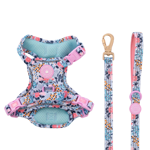 Trail & Glow Dog Harness & Lead Set - Colour Drops - Spring Dreams - Bailey and Coco (UK)