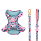 Trail & Glow Dog Harness & Lead Set - Colour Drops - Spring Dreams