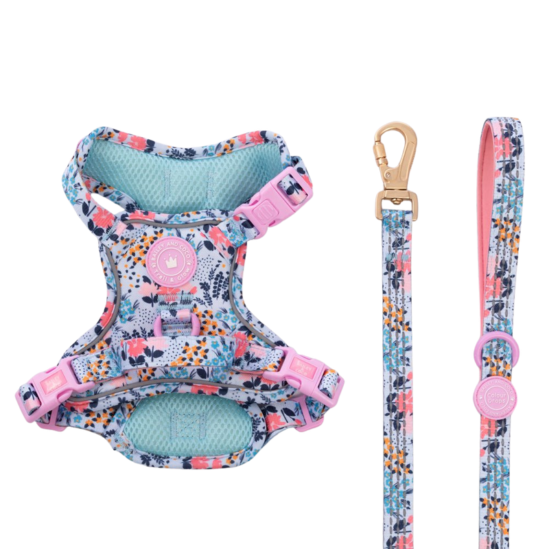 Trail & Glow Dog Harness & Lead Set - Colour Drops - Spring Dreams - Bailey and Coco (UK)