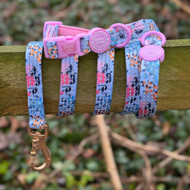 Trail & Glow Dog Harness & Lead Set - Colour Drops - Spring Dreams - Bailey and Coco (UK)