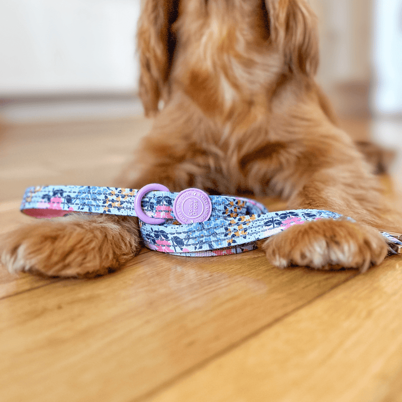 Trail & Glow Dog Harness & Lead Set - Colour Drops - Spring Dreams - Bailey and Coco (UK)