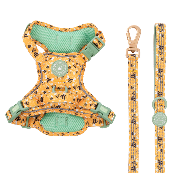 Trail & Glow Dog Harness & Lead Set - Colour Drops - Wanna - Bee - Bailey and Coco (UK)