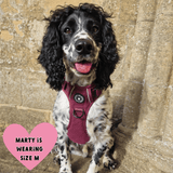 Trail & Glow® Dog Harness - Mulberry Tweed - Bailey and Coco (UK)
