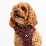 Trail & Glow® Dog Harness - Mulberry Tweed - Bailey and Coco (UK)