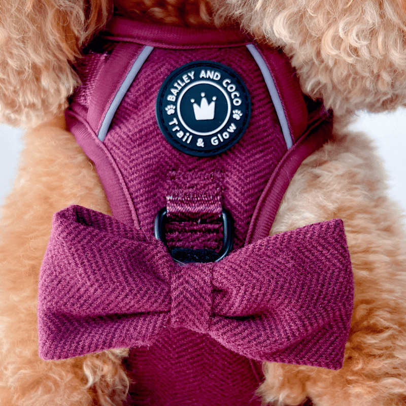 Trail & Glow® Dog Harness - Mulberry Tweed - Bailey and Coco (UK)