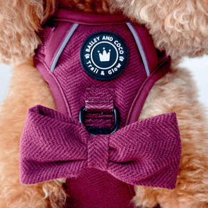 Trail & Glow® Dog Harness - Mulberry Tweed - Bailey and Coco (UK)