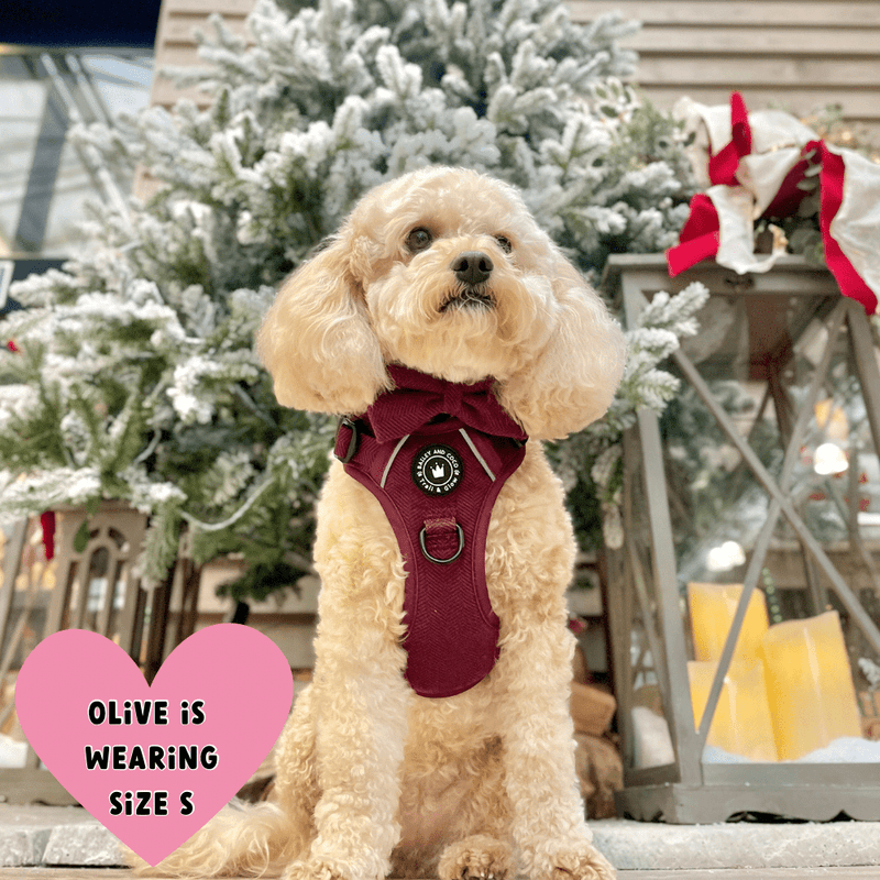 Trail & Glow® Dog Harness - Mulberry Tweed - Bailey and Coco (UK)