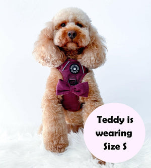 perfect fit harness cockapoo