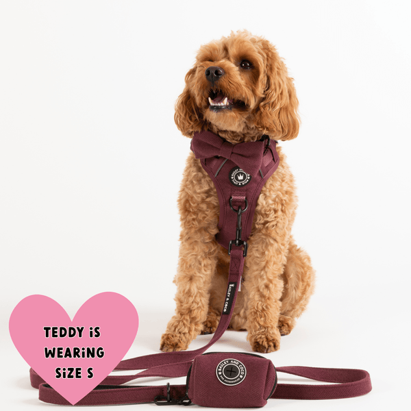Trail & Glow® Dog Harness - Mulberry Tweed - Bailey and Coco (UK)