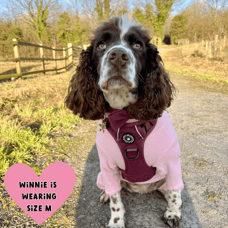 Trail & Glow® Dog Harness - Mulberry Tweed - Bailey and Coco (UK)