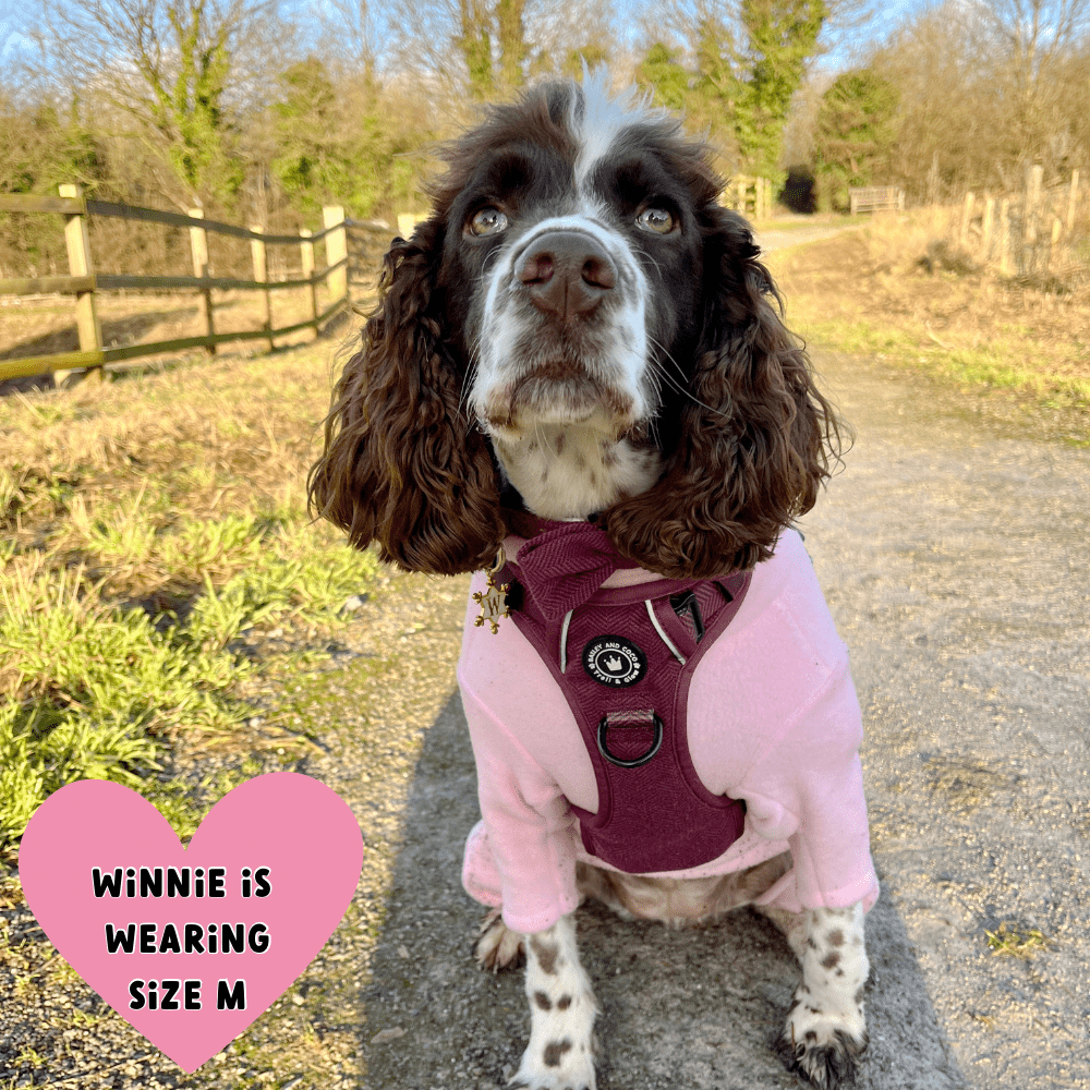 Trail & Glow® Dog Harness - Mulberry Tweed - Bailey and Coco (UK)