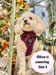 poochon dog harness