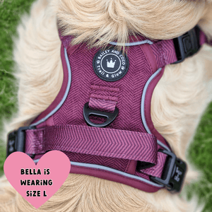 Trail & Glow® Dog Harness - Mulberry Tweed - Bailey and Coco (UK)