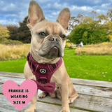 Trail & Glow® Dog Harness - Mulberry Tweed - Bailey and Coco (UK)