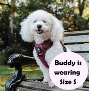 poochon dog harness