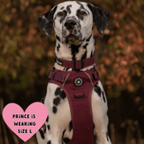Trail & Glow® Dog Harness - Mulberry Tweed - Bailey and Coco (UK)