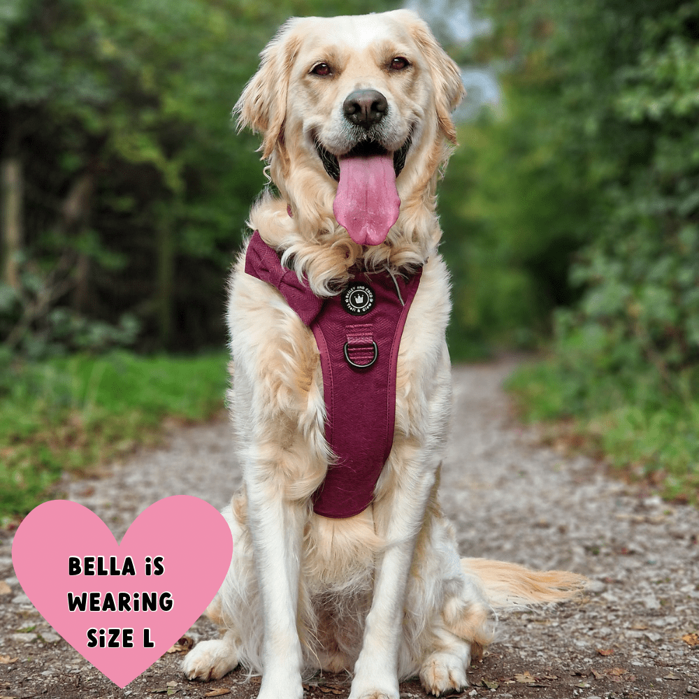 Trail & Glow® Dog Harness - Mulberry Tweed - Bailey and Coco (UK)