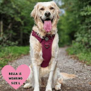 Trail & Glow® Dog Harness - Mulberry Tweed - Bailey and Coco (UK)