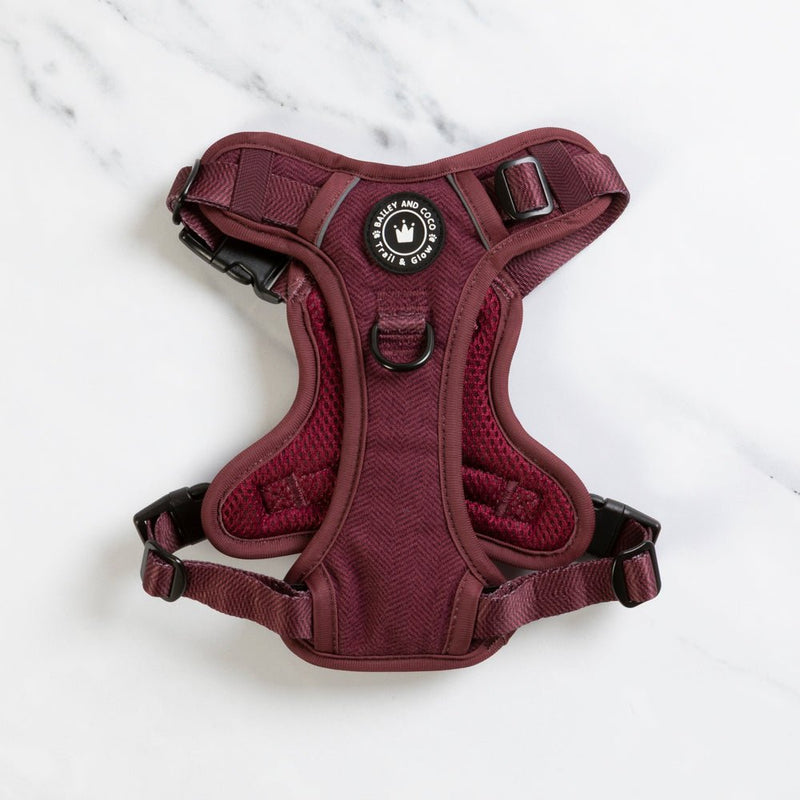Trail & Glow® Dog Harness - Mulberry Tweed - Bailey and Coco (UK)