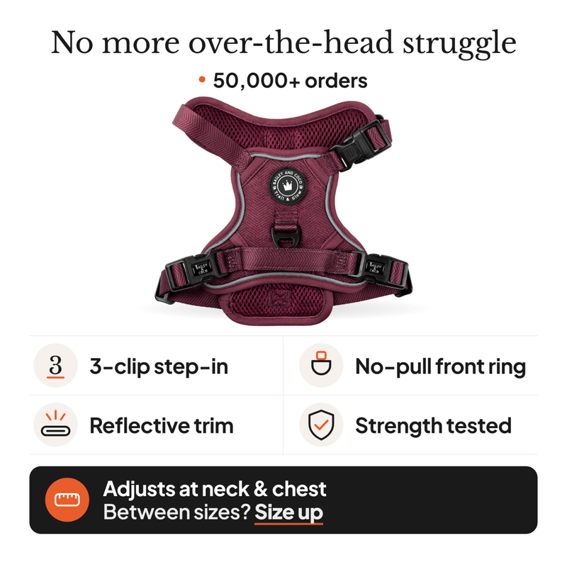 Trail & Glow® Dog Harness - Mulberry Tweed - Bailey and Coco (UK)