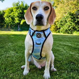 Trail & Glow® Dog Harness - Ocean Breeze - Bailey and Coco (UK)