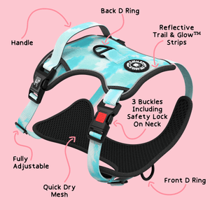 Trail & Glow® Dog Harness - Ocean Breeze - Bailey and Coco (UK)