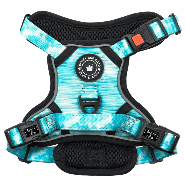 Trail & Glow® Dog Harness - Ocean Breeze - Bailey and Coco (UK)