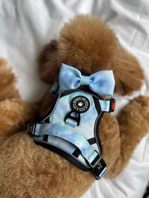 Trail & Glow® Dog Harness - Ocean Breeze - Bailey and Coco (UK)
