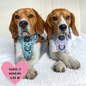 best beagle harness