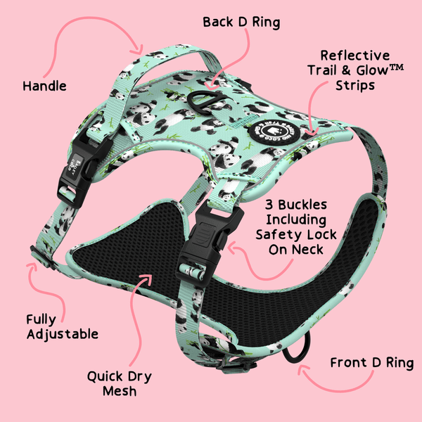 Trail & Glow® Dog Harness - Panda-monium - alternate view
