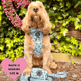 best car harness for cockapoo