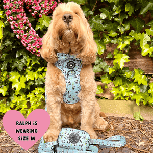 best car harness for cockapoo