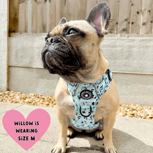 dog harness for french bulldog