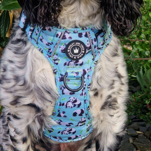 sprocker harness