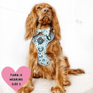 best cocker spaniel harness