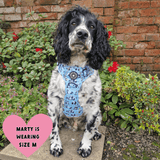 dog harness for sprocker spaniel