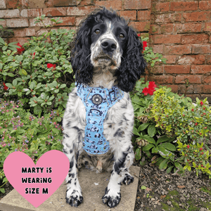 dog harness for sprocker spaniel