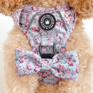perfect fit harness cockapoo