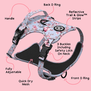 Trail & Glow® Dog Harness - Peony Blossom - Bailey and Coco (UK)